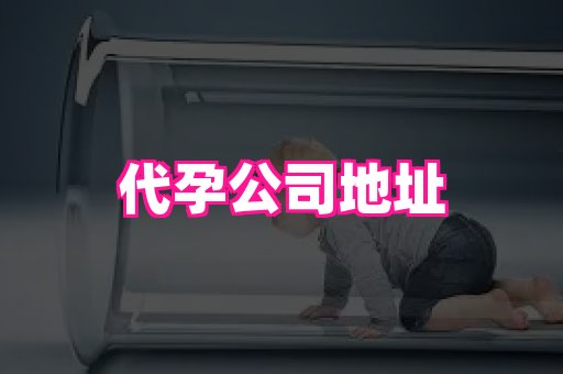 长春助孕网站 1